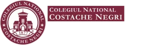 Colegiul Național Costache Negruzzi